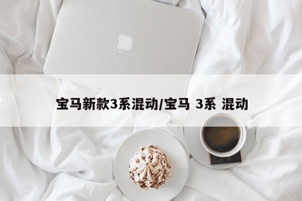 宝马新款3系混动/宝马 3系 混动