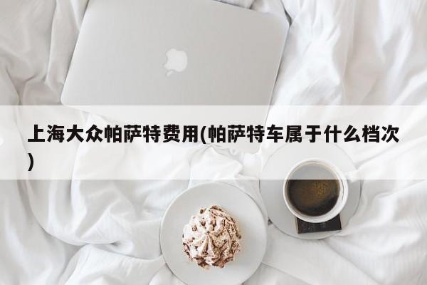 上海大众帕萨特费用(帕萨特车属于什么档次)