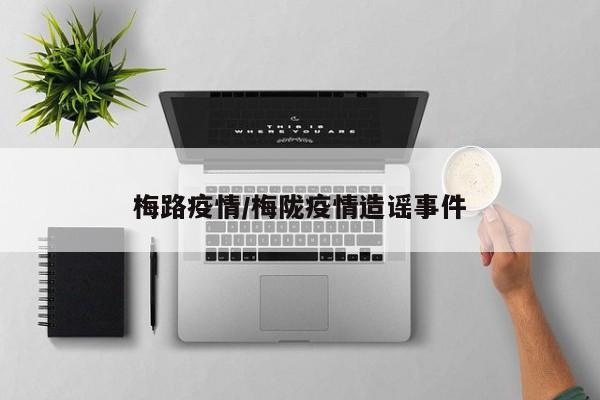 梅路疫情/梅陇疫情造谣事件