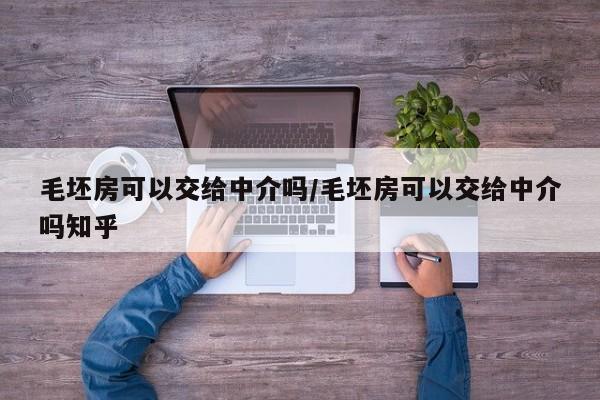 毛坯房可以交给中介吗/毛坯房可以交给中介吗知乎