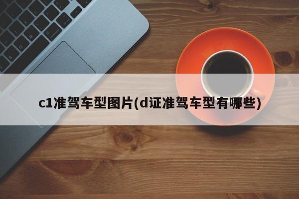 c1准驾车型图片(d证准驾车型有哪些)