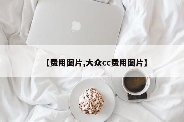 【费用图片,大众cc费用图片】