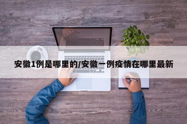 安徽1例是哪里的/安徽一例疫情在哪里最新