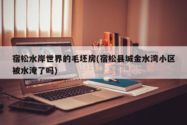宿松水岸世界的毛坯房(宿松县城金水湾小区被水淹了吗)