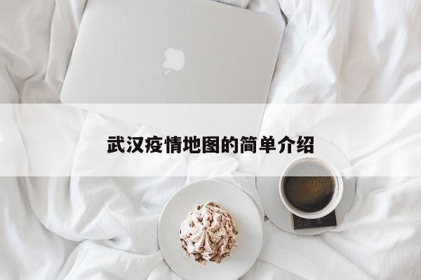 武汉疫情地图的简单介绍