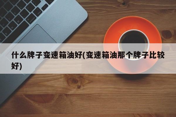 什么牌子变速箱油好(变速箱油那个牌子比较好)