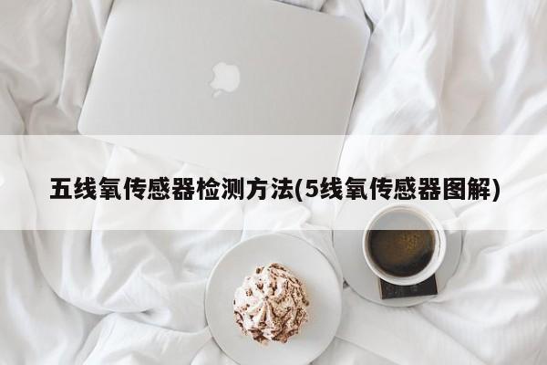 五线氧传感器检测方法(5线氧传感器图解)