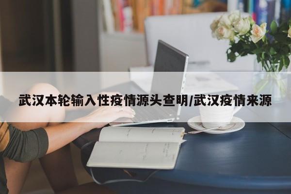 武汉本轮输入性疫情源头查明/武汉疫情来源