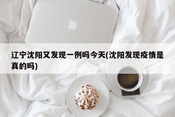 辽宁沈阳又发现一例吗今天(沈阳发现疫情是真的吗)
